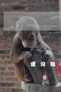 建设银行 贷款 逾期3天 建设银行 贷款 逾期3天